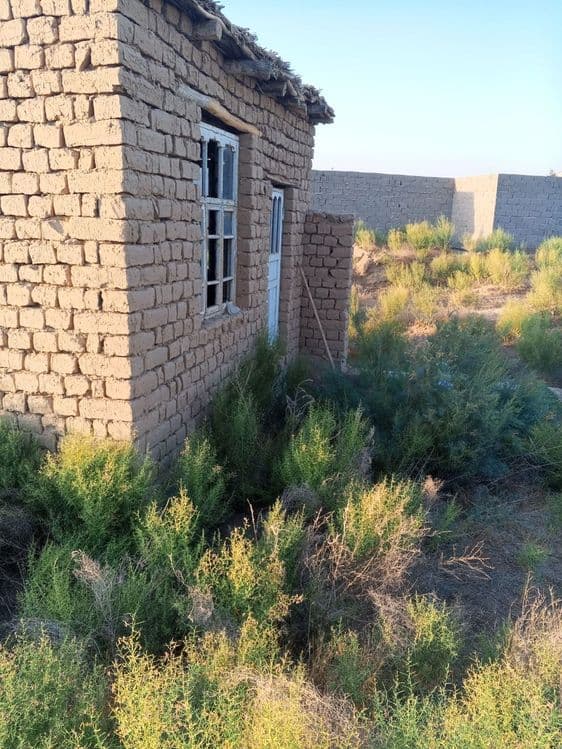 Qarshi tumani Yangibogda uchaska sotiladi — 1
