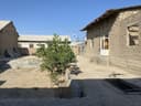 manzil farhod saphuz
