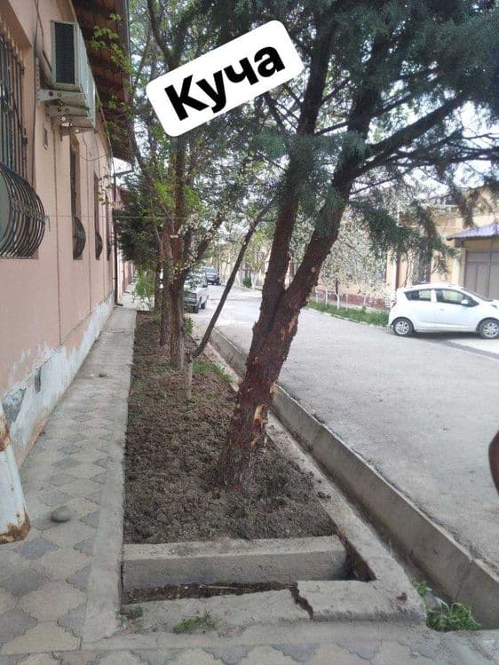 Коттедж янги хаёт сельский — 1