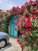 Срочно продается дом,4 сотки,5 комнат,подвал,сарай,