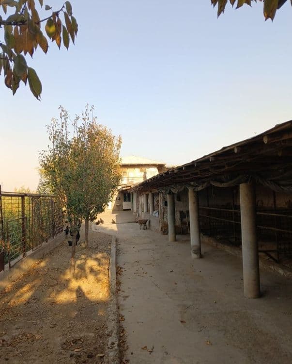 ferma arendaga beriladi — 1