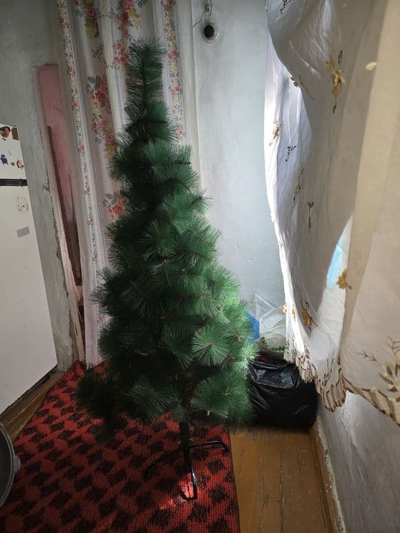 Янги йил арчаси. — 1