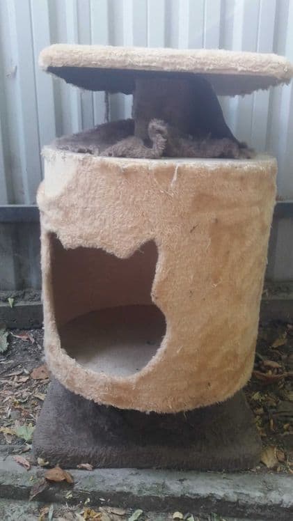 Кошкин дом Mushuk uyi дом для кошки Доставка — 1