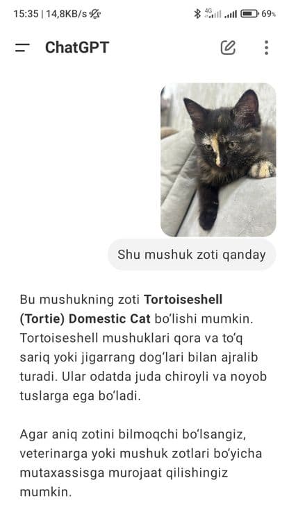 Uy Mushugi qiz bola emlangan soglom — 1