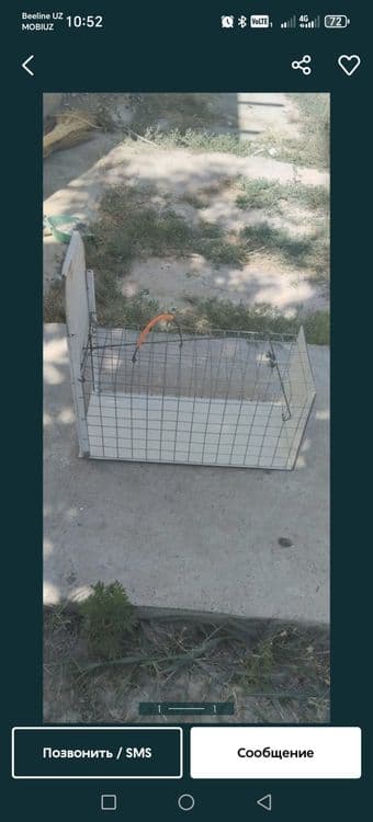 Ловушка мушуклар учун — 1