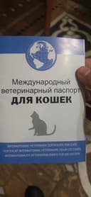 Кишка сибирская милашка