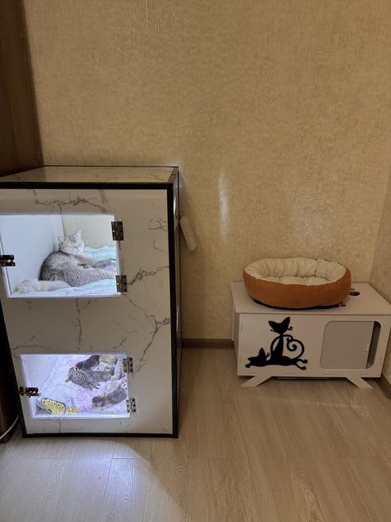 Дом для Кошек и Котят / Для Родов на заказ — 1