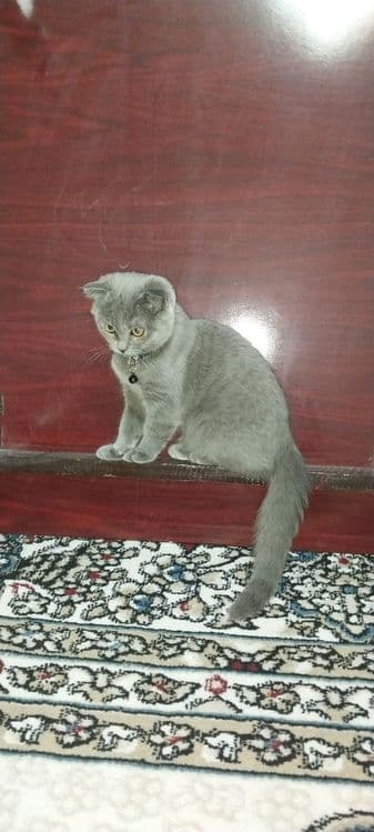 sardor karimov Samarqand viloyati — 1
