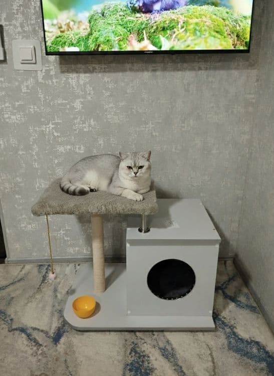 Mushuk uchun chiroyli uy. Прекрасный домик для кошки. — 1