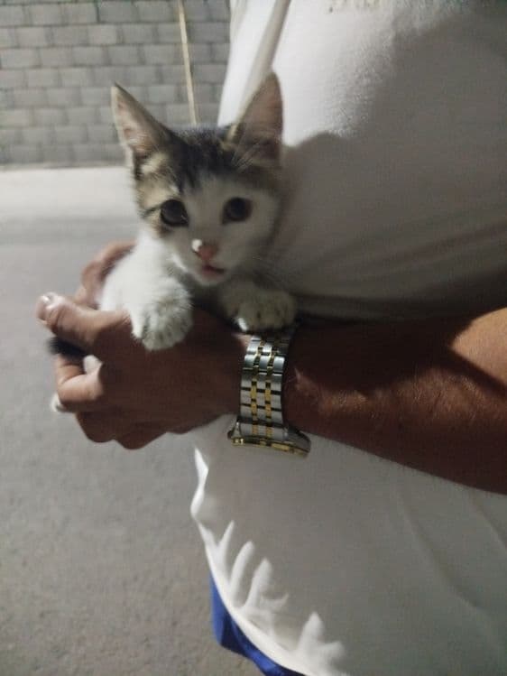 Jahongir Haydarov Jahongir Qosimov va juda yaxshi koʻraman deb rosa ya — 1