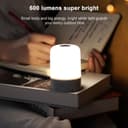 Светильник с RGB-подсветкой — оптом и розницу сенсорное управление