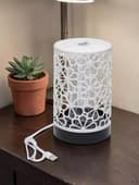 Chivin va hasharotlarga qarshi elektr lampa
