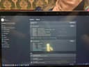 Dell Windovs 11 250