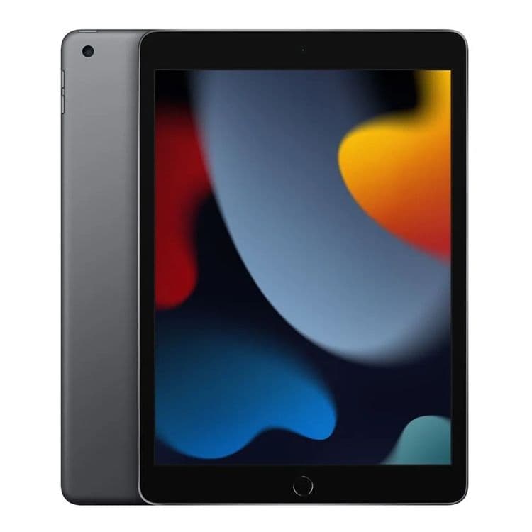 iPad 9 Gen 256 GB 2021 LL/A — 1