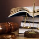 Адвокат-Божхона сохасидаги ҳуқуқбузарликлар бўйича
