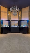 Professionall akvarium tozalash xizmati - Чистка аквариумов