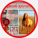 Қассоб Qassob кассоб ҳизмати.