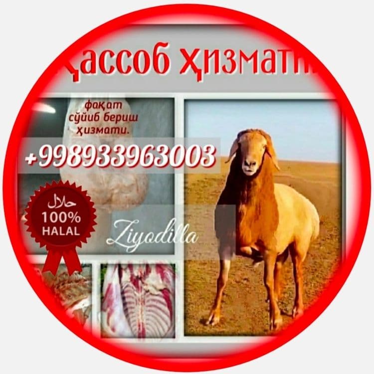 Қассоб Qassob кассоб ҳизмати. — 1
