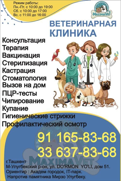 Ветеринар.Ветеринарные услуги — 1