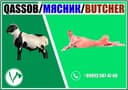 Qassob / Мясник / Butcher