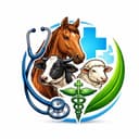 Veterinariya servis xizmatlari