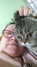 Передержка ветеринарные услуги кастрация стерилизация паспорт гостинни