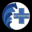 VETERINARIYA xizmati davolash