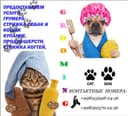 Предоставляем услуги грумера:
- Стрижка собак и кошек.
- Купание .