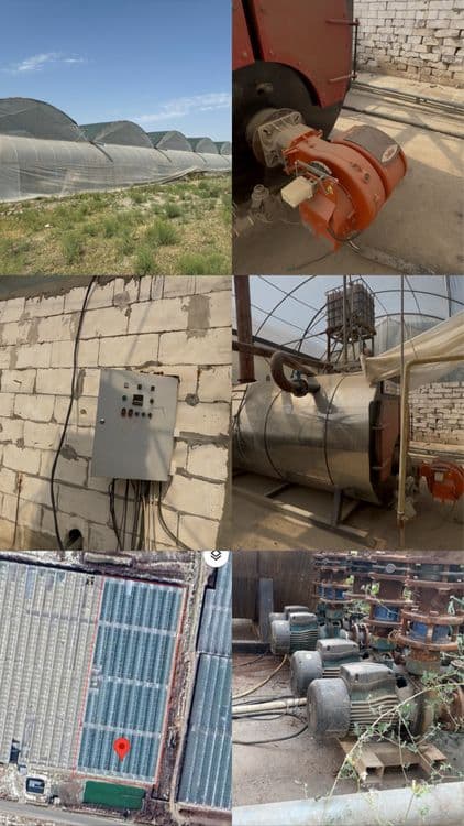 Issiqxona ( Xitoy ) tayyor holatda sherik qidiryapmiz — 1