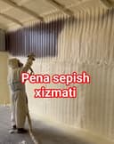 Pena sepish xizmati