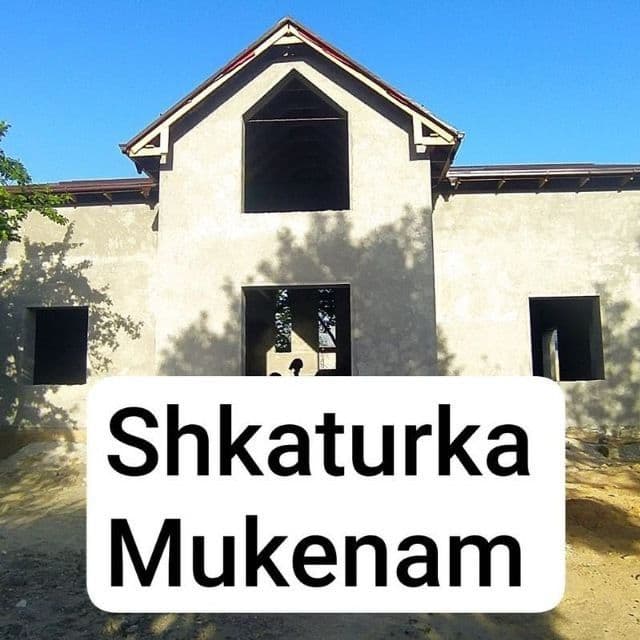 Шкатурка малярка стаячка — 1