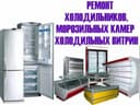 Ремонт холодильников и кандиционеров