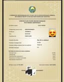 Milliy sertifikatga tayyorlov, Rus tili fanidan 100% natija