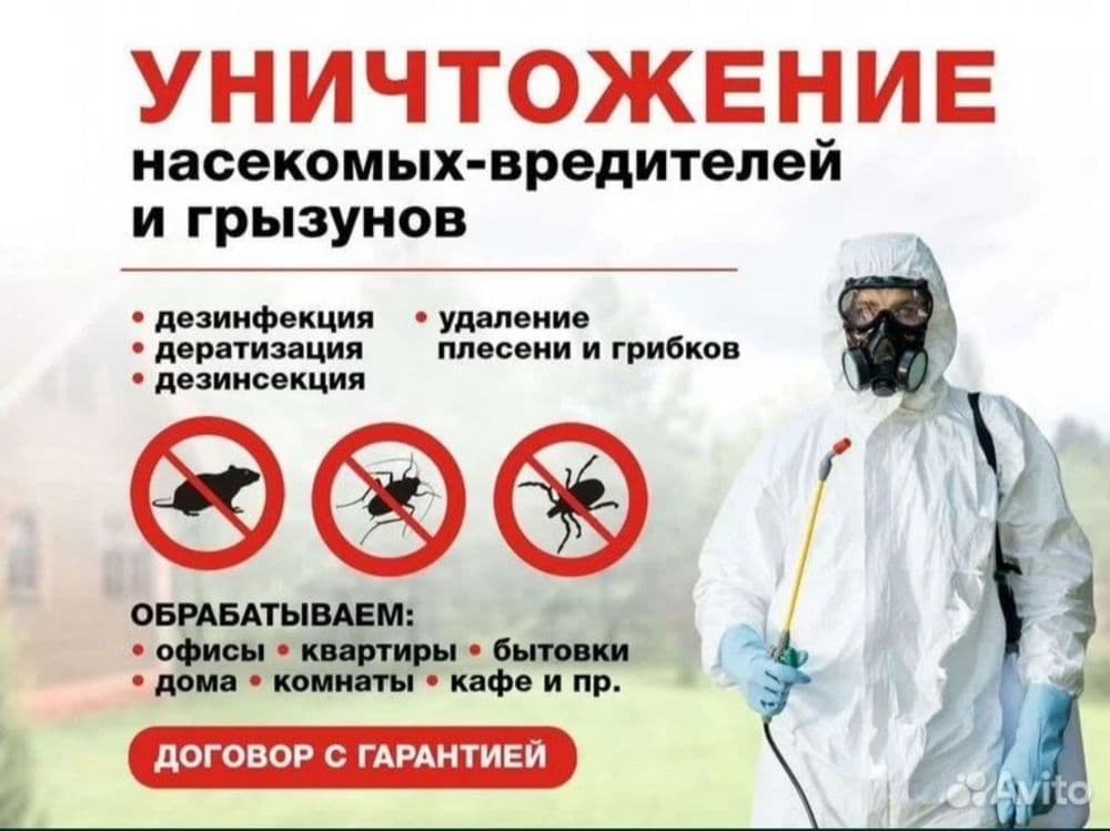 Дезинфексия навои 24/7 — 1
