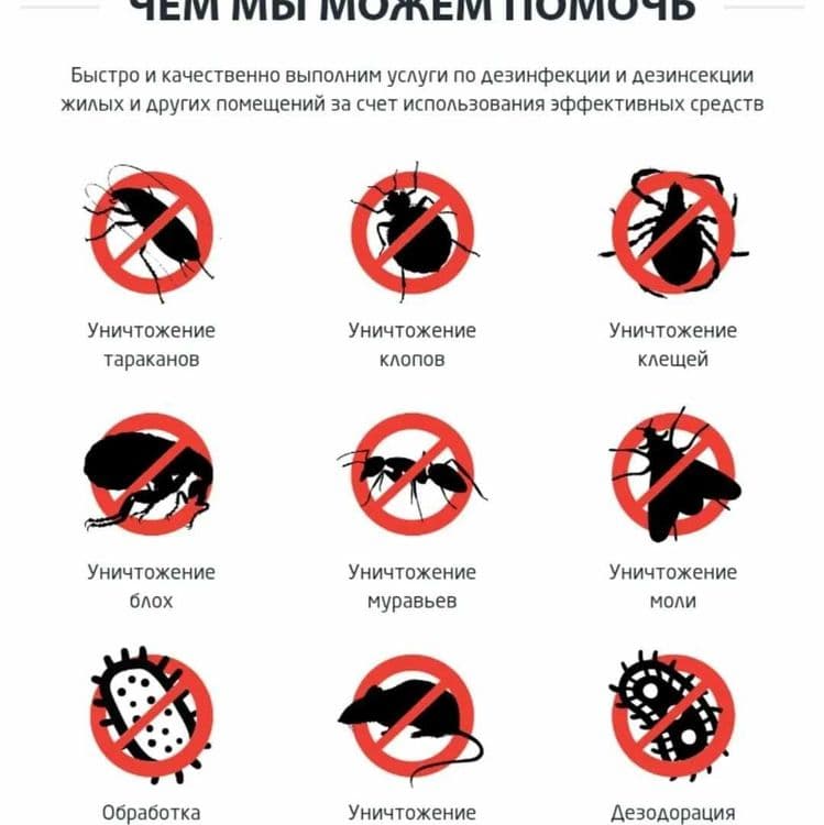 Дезинфексия навоий 24/7 — 1