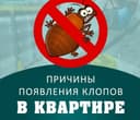 Dezinfeksiya Дезинфекция dizinfeksiya xizmati