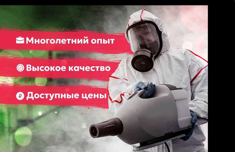 Чивин пашша илон кана клоп клапа чимоли ари сичкон каламуш Дезинфекция — 1