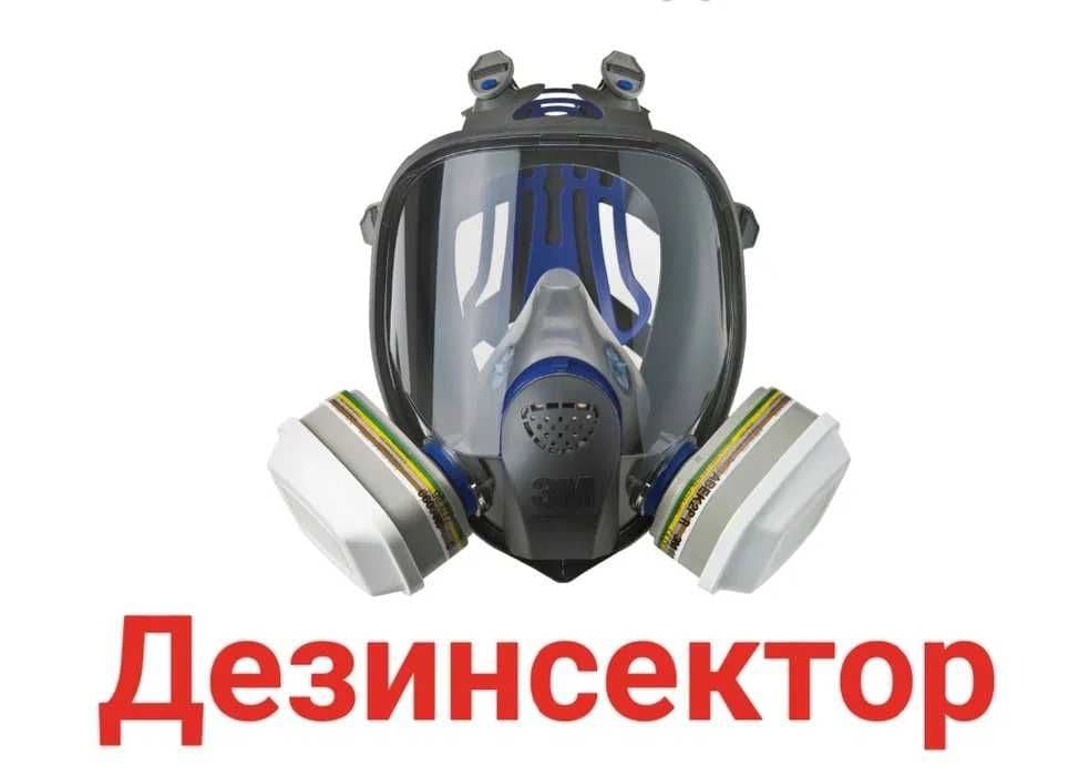 Dezinfeksiya xizmati klapa, tarakan, ilon. Уничтожение клопов, таракан — 1