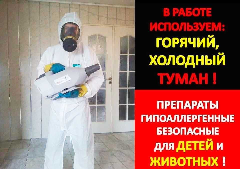 Дезинфекция насекомых клоп klop klapa Dezinfeksiya dezenfeksiya запах — 1