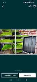 Гидропоника для выращивания пшеницы