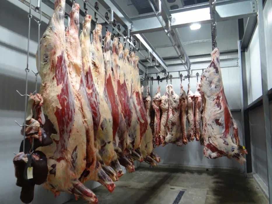 Убойный цех для КРС и МРС — 1