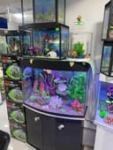 AquaTerra do'koni Akvarium va Baliqlar