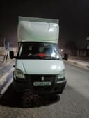 Газелл беснисс