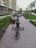 Monstr drongo sukuter