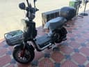 Skuter Boshijea firma 5 akm