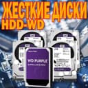 WD Original HDD qattiq disklari