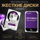 WD Original HDD qattiq disklari ulgurji va chakana savdosi
