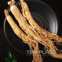 Wild Ginseng((China)