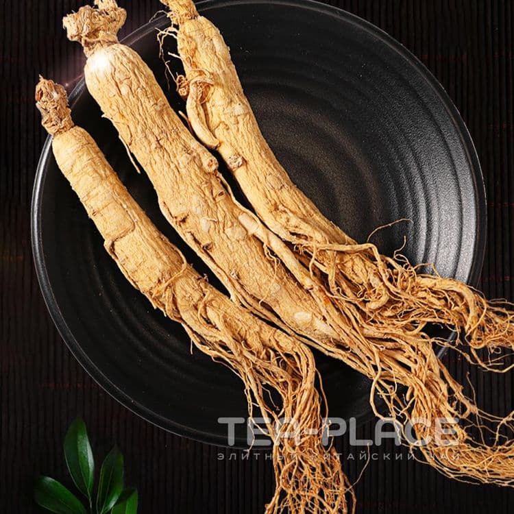 Wild Ginseng((China) — 1