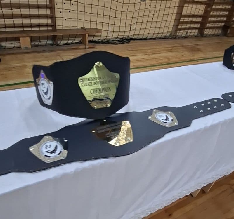 Кубок, Медаль, Чемпионлик камар,Диплом — 1